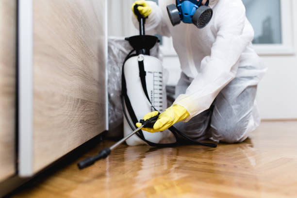 Wasp Removal Services in Shell Lake, WI