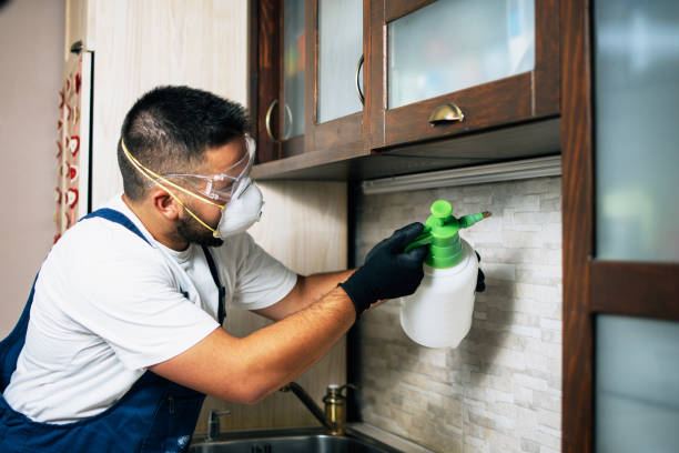 Best Commercial Pest Control Services  in Shell Lake, WI