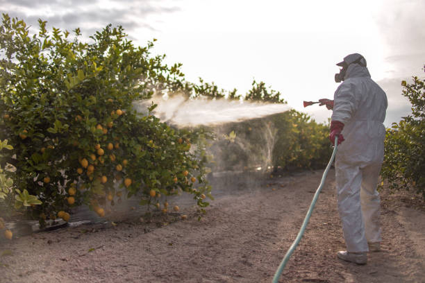 Best Best Pest Control Companies  in Shell Lake, WI