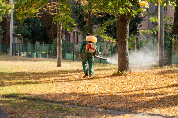 Best Ant Control Services  in Shell Lake, WI