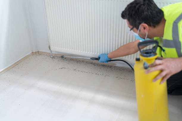 Professional Pest Control in Shell Lake, WI