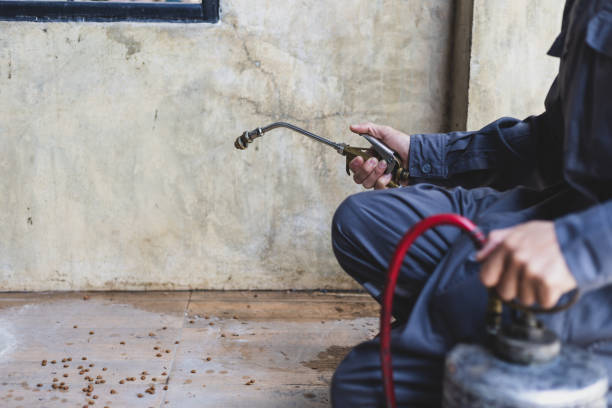 Best Affordable Pest Control Services  in Shell Lake, WI